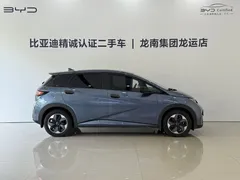 2025 BYD Dolphin 420km Freedom, синий — фото 8