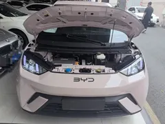 2024 BYD Seagull Honor 305km Vitality, чёрный — фото 20