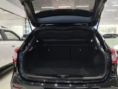 2021 Nissan Qashqai 2.0L CVT Luxury, чёрный — фото 19
