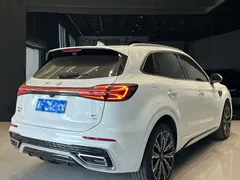 2023 Hongqi HS5 2.0T 4WD Qixiang Pro, белый — фото 4