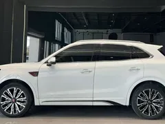 2023 Hongqi HS5 2.0T 4WD Qixiang Pro, белый — фото 5