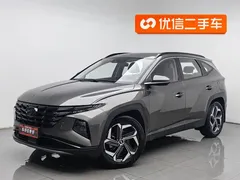2021 Hyundai Tucson L 1.5T DCT LUX Premium — фото 1