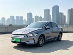 2024 BYD Qin PLUS EV 420km Leading — фото 1