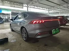 2024 BYD Qin PLUS EV 420km Leading — фото 5