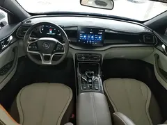 2024 BYD Qin PLUS EV 420km Leading — фото 10