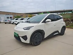 2025 BYD Seagull EV 305km, белый — фото 1