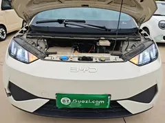 2025 BYD Seagull EV 305km, белый — фото 20