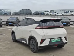 2025 BYD Seagull EV 305km, белый — фото 6