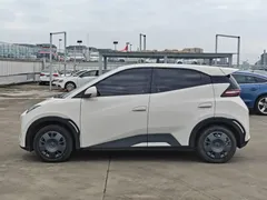 2025 BYD Seagull EV 305km, белый — фото 7