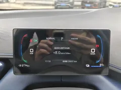 2025 BYD Seagull EV 305km, белый — фото 15