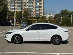 2024 BYD Destroyer 05 DM-i PHEV 55km Luxury, белый — фото 10