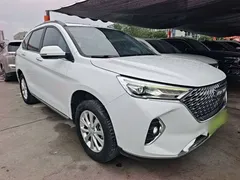 2021 Haval M6 Plus 1.5T DCT Luxury, белый — фото 4