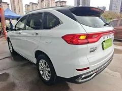 2021 Haval M6 Plus 1.5T DCT Luxury, белый — фото 5