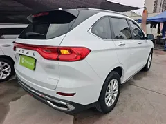 2021 Haval M6 Plus 1.5T DCT Luxury, белый — фото 7