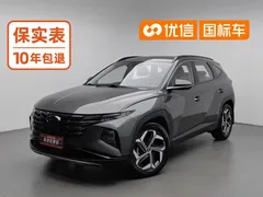 2023 Hyundai Tucson L 1.5T AT 2WD LUX Premium — фото 1