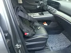 2023 Chery Tiggo 9 2.0T DCT 2WD Premium 5-seat — фото 25