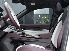 2021 Geely Monjaro 2.0TD High Power AT 4WD Flagship — фото 11