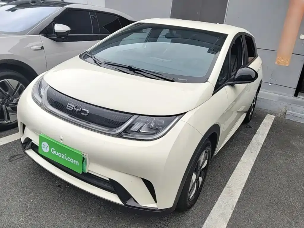 2025 BYD Dolphin 420km Freedom