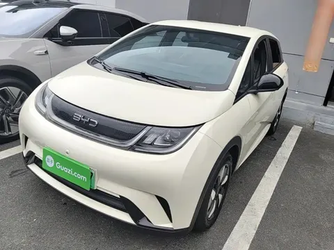 2025 BYD Dolphin 420km Freedom
