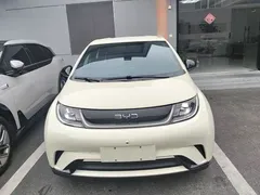 2025 BYD Dolphin 420km Freedom — фото 3