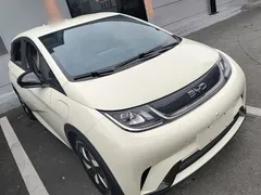 2025 BYD Dolphin 420km Freedom — фото 4