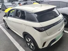 2025 BYD Dolphin 420km Freedom — фото 5