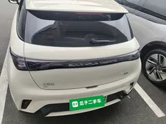 2025 BYD Dolphin 420km Freedom — фото 6