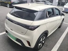 2025 BYD Dolphin 420km Freedom — фото 7