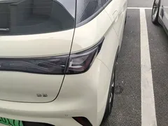 2025 BYD Dolphin 420km Freedom — фото 8