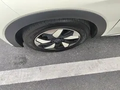 2025 BYD Dolphin 420km Freedom — фото 23