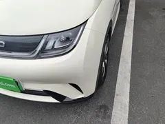 2025 BYD Dolphin 420km Freedom — фото 24