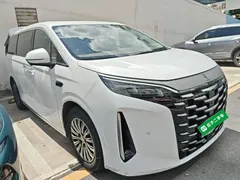 2025 BYD Xia DM-i PHEV 1.5T 180km Excellence, белый — фото 4
