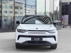 2024 Leapmotor C11 EREV 300 Premium, белый — фото 2