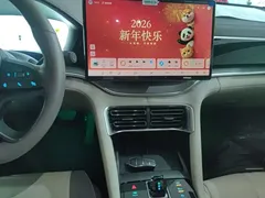 2025 BYD Song PLUS EV Smart Driving 520km Premium — фото 13
