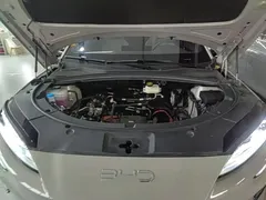 2025 BYD Song PLUS EV Smart Driving 520km Premium — фото 20