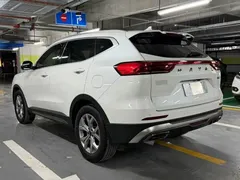 2021 Haval H6 1.5T AT Champion, белый — фото 4