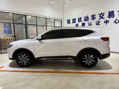 2023 Haval H6 1.5T AT Guochao Urban, белый — фото 7