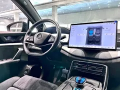 2024 BYD Tang DM-p PHEV, чёрный — фото 14