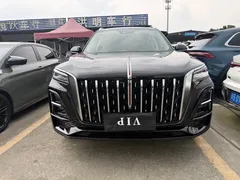 2023 Hongqi HS5 2.0T Pro, чёрный — фото 3