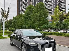 2024 Hongqi H5 1.5T DCT Zhilian Qiyun, чёрный — фото 3