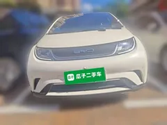 2023 BYD Dolphin 420km Fashion — фото 2