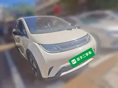 2023 BYD Dolphin 420km Fashion — фото 3