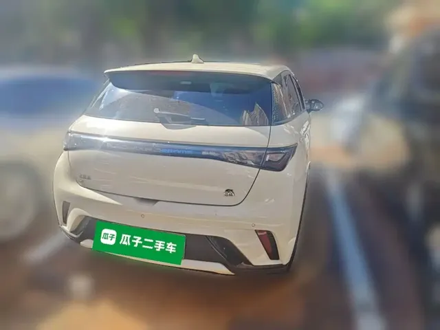 2023 BYD Dolphin 420km Fashion