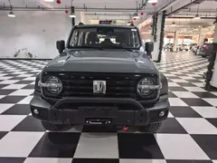 2021 Tank 300 Off-road 2.0T Conqueror — фото 6