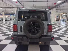 2021 Tank 300 Off-road 2.0T Conqueror — фото 11