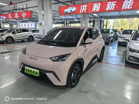 2023 BYD Seagull Flying