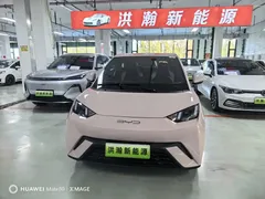 2023 BYD Seagull Flying — фото 2
