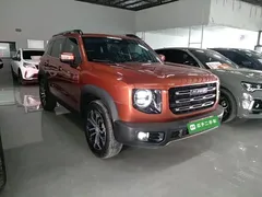 2021 Haval Dargo 1.5T DCT 2WD Border Collie — фото 4