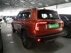 2021 Haval Dargo 1.5T DCT 2WD Border Collie — фото 5