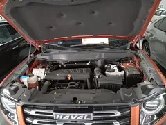2021 Haval Dargo 1.5T DCT 2WD Border Collie — фото 18